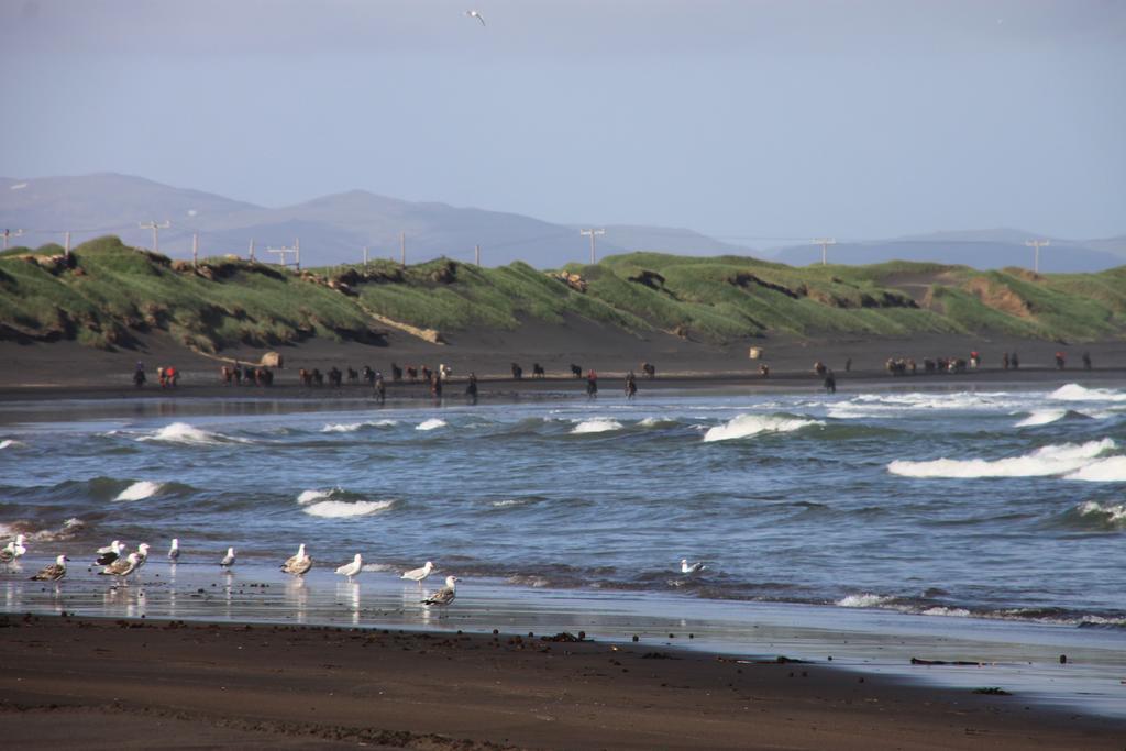 Jonna Guesthouse Þorlákshöfn Esterno foto